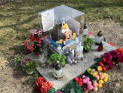 image-2